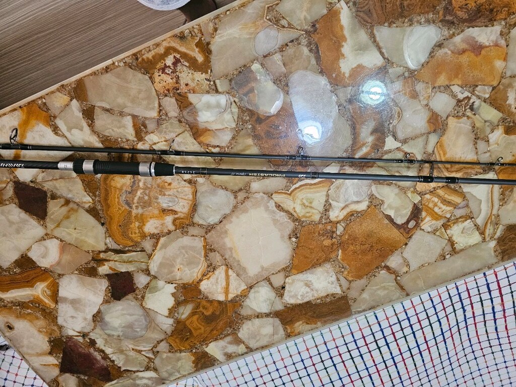 Daiwa New Procaster Game III 240 cm 30-120gr - 3