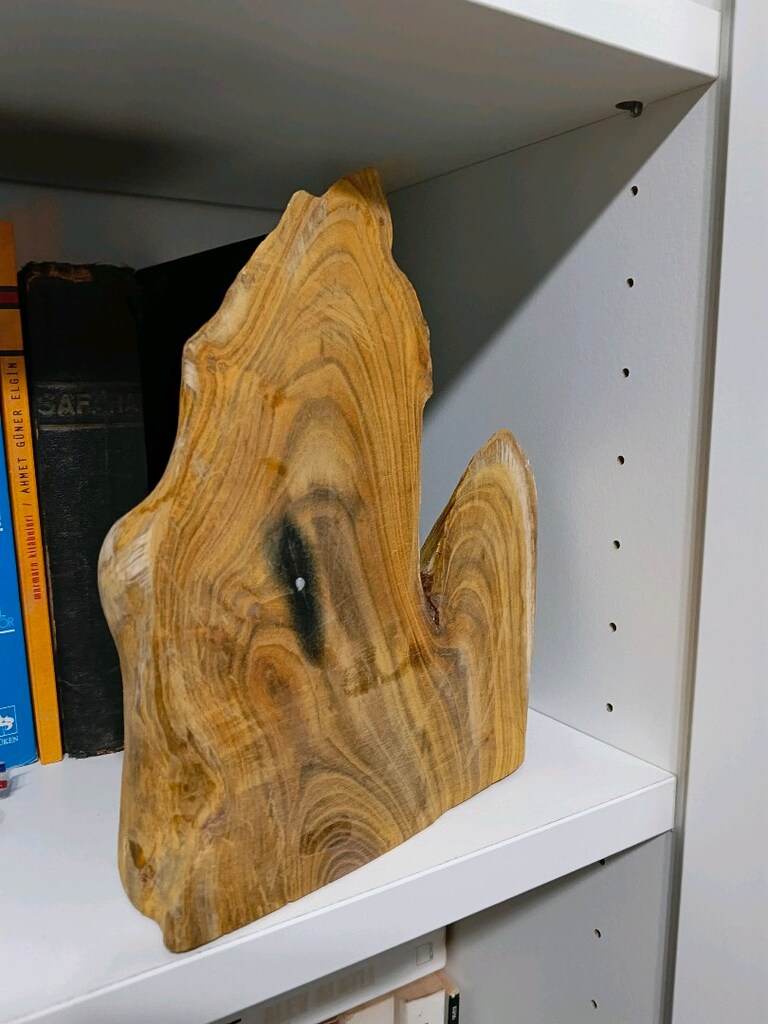 Ağaç ham Biblo - 4