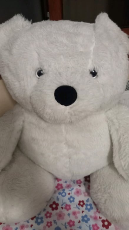 Peluş Ayı - 2