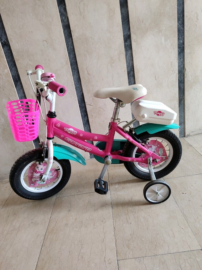 carraro moggy 14 jant - 5