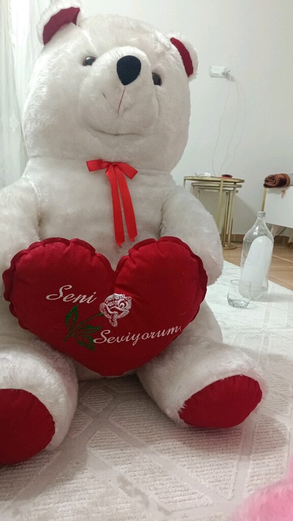 peluş ayıcık - 3
