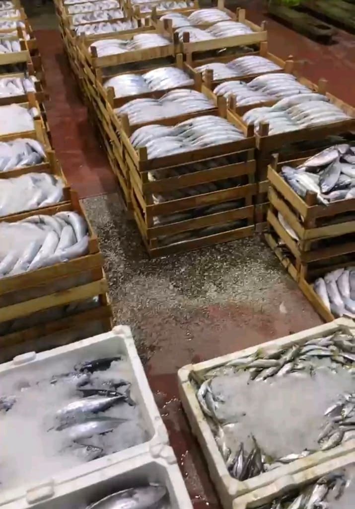 kar buz makinası balıkçıklariçin kar buz makinası 100kglık kar buz mak - 8
