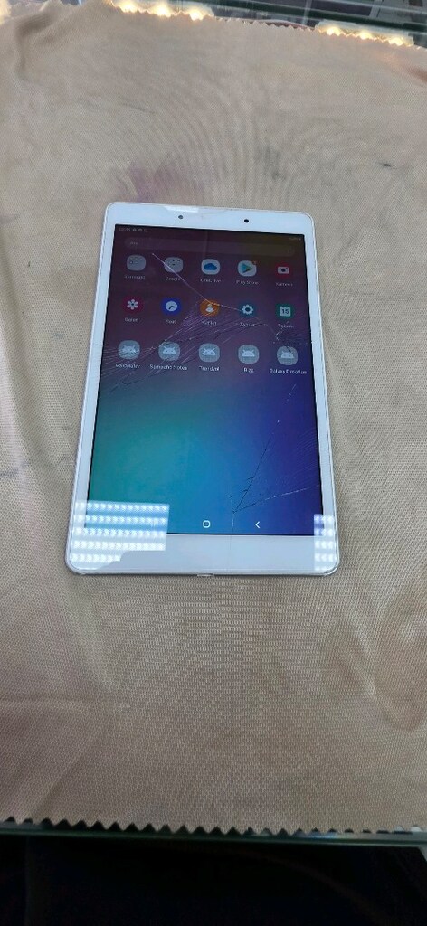 Samsung Galaxy Tab T 290 Cam Catlak - 6