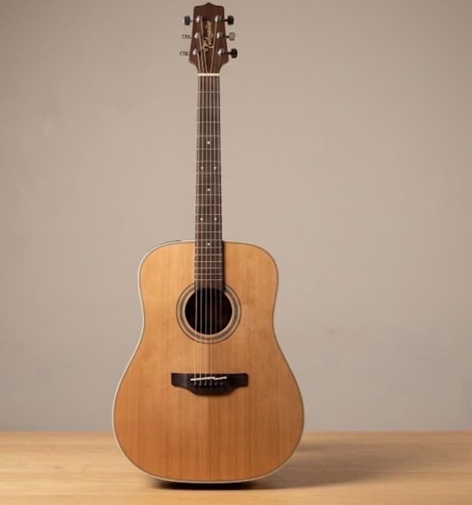 Takamine GD20 NS Akustik Gitar - 2