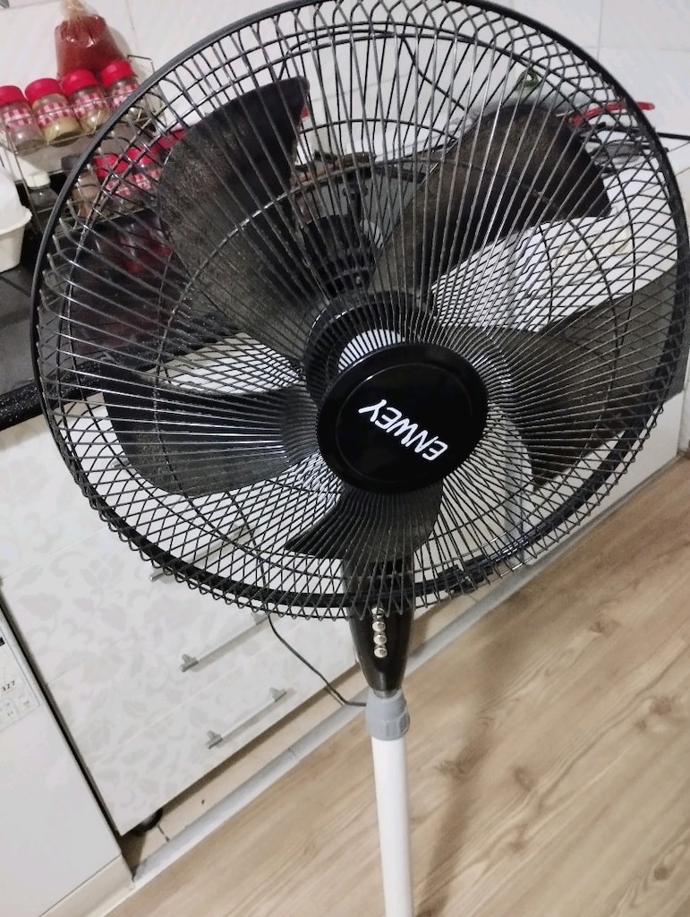 5 yapraklı çok ucuz vantilatör - 2