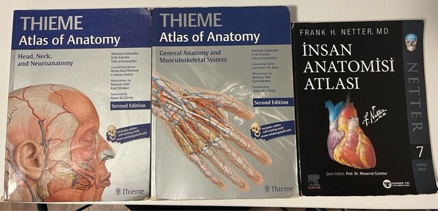 thieme genel ve baş boyun anatomisi, netter insan anatomisi