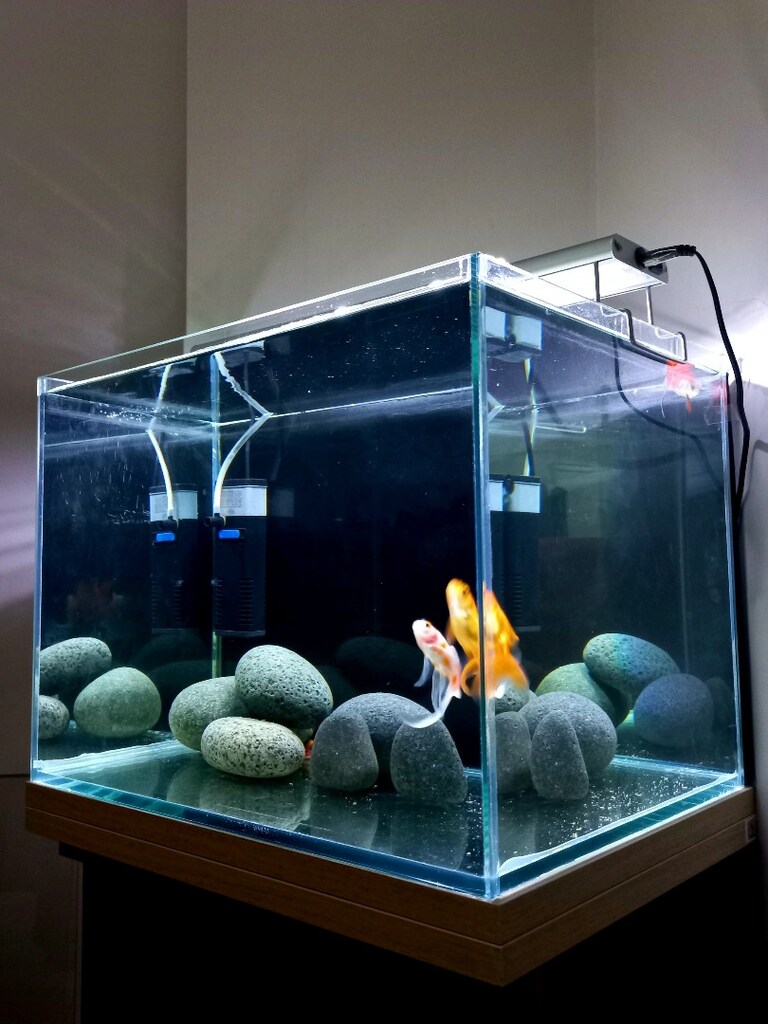 nano akvaryum set 40x30x30 - 6