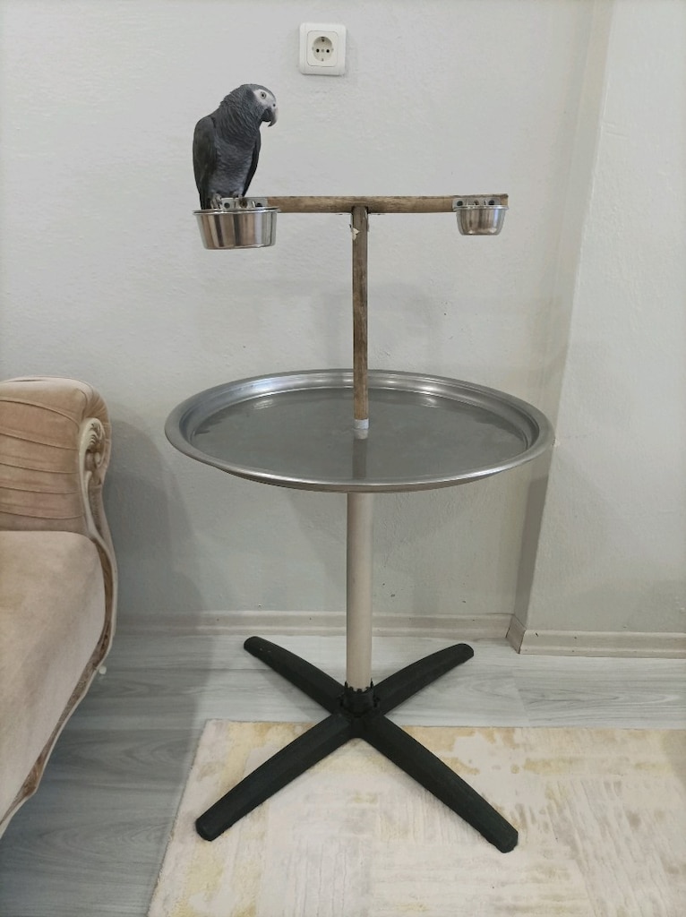 PAPAĞAN KAFESİ ÖZEL YAPIM KAFES + METAL BÜYÜK KAFES + EĞİTİM TÜNEĞİ - 9