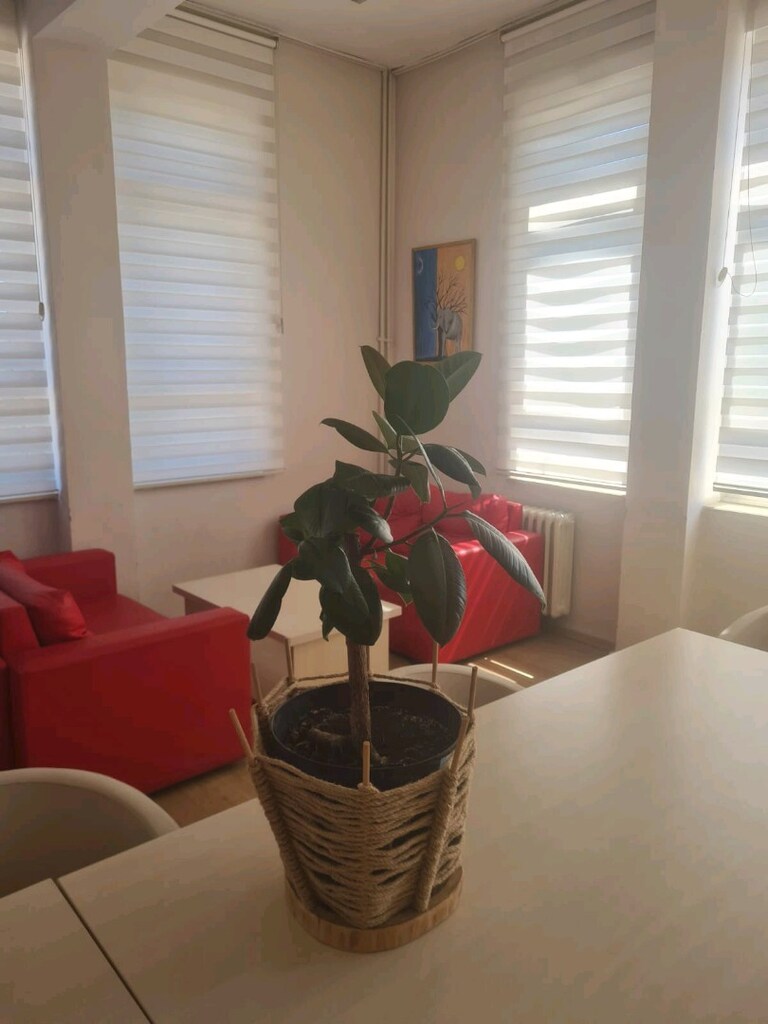 Kütük Dilim tabanlı jüt saksı - 4