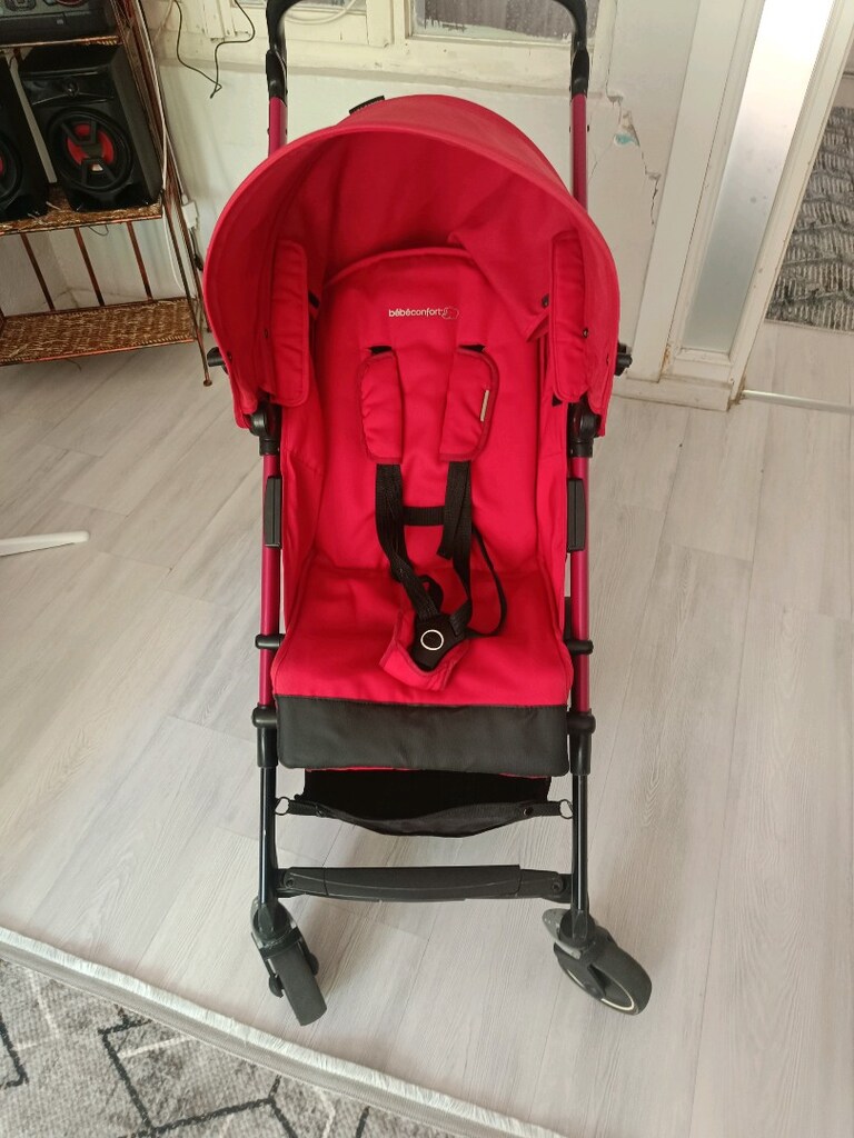 maci cisi - 5