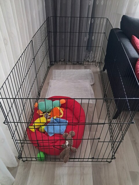 KÖPEK ALIŞTIRMA ÇİTİ