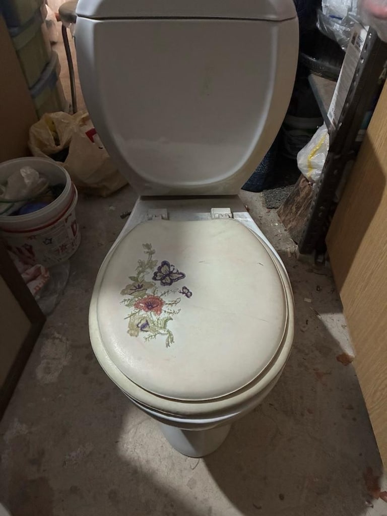 alafranga WC tuvalet taşı - 2