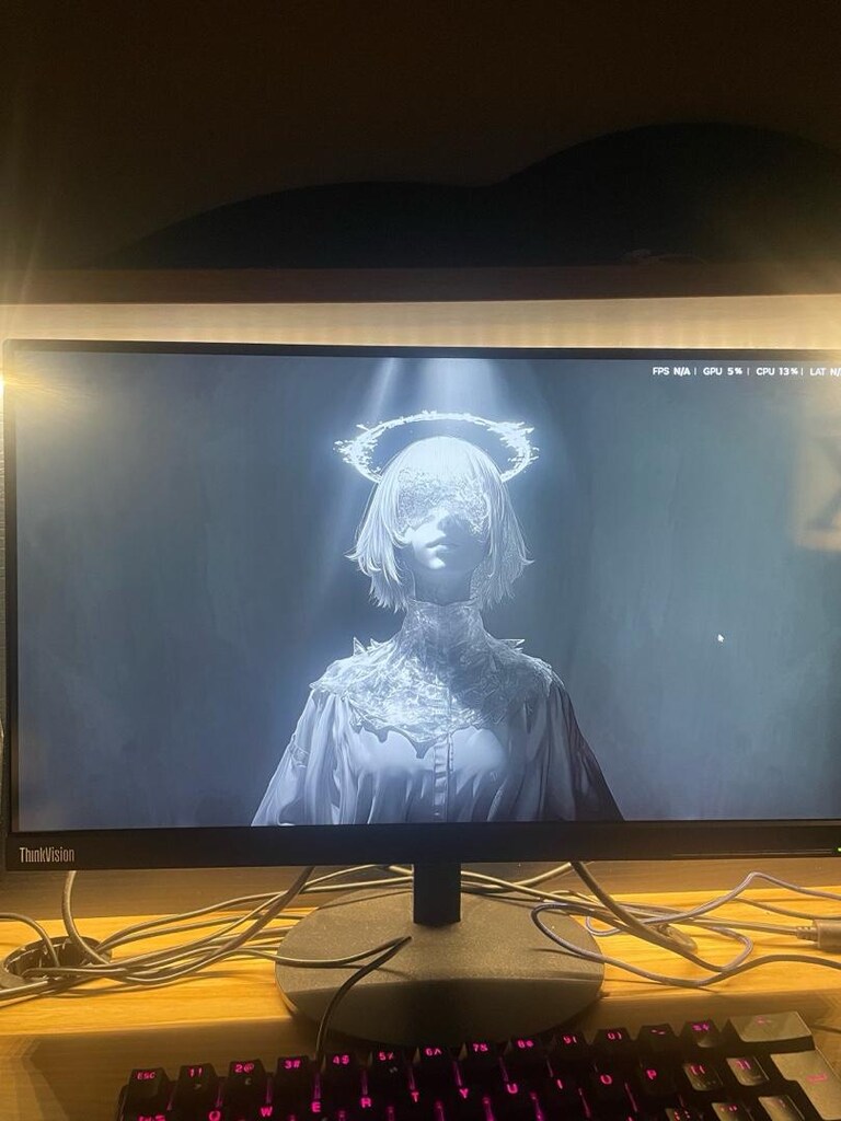 lenevo thinkvision - 3