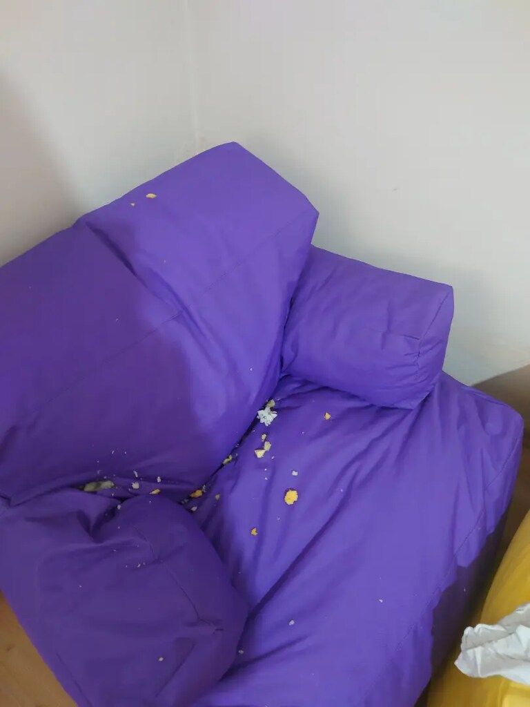 Armut koltuk içinde Visco kirpinti var 10 kg - 2