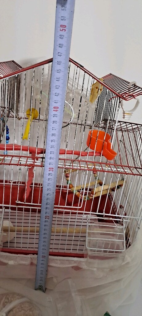 Muhabbet kuşu kafesi 500 tl Araç gereçleri ve gıdaları fazlası ile var - 3