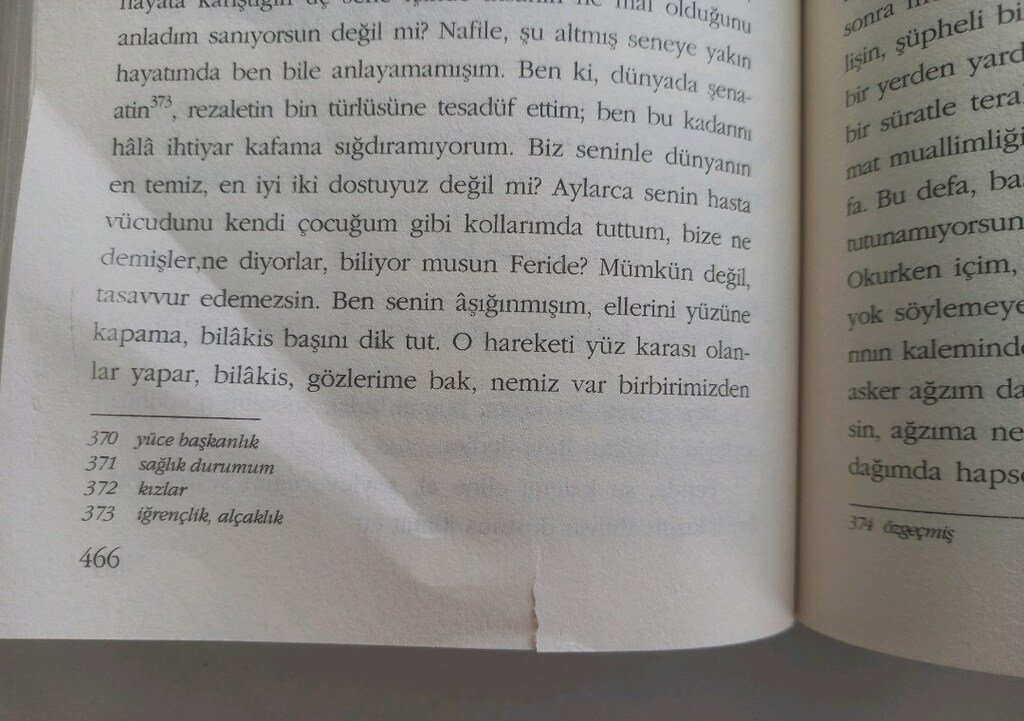 Reşat Nuri Güntekin - Çalıkuşu - 6