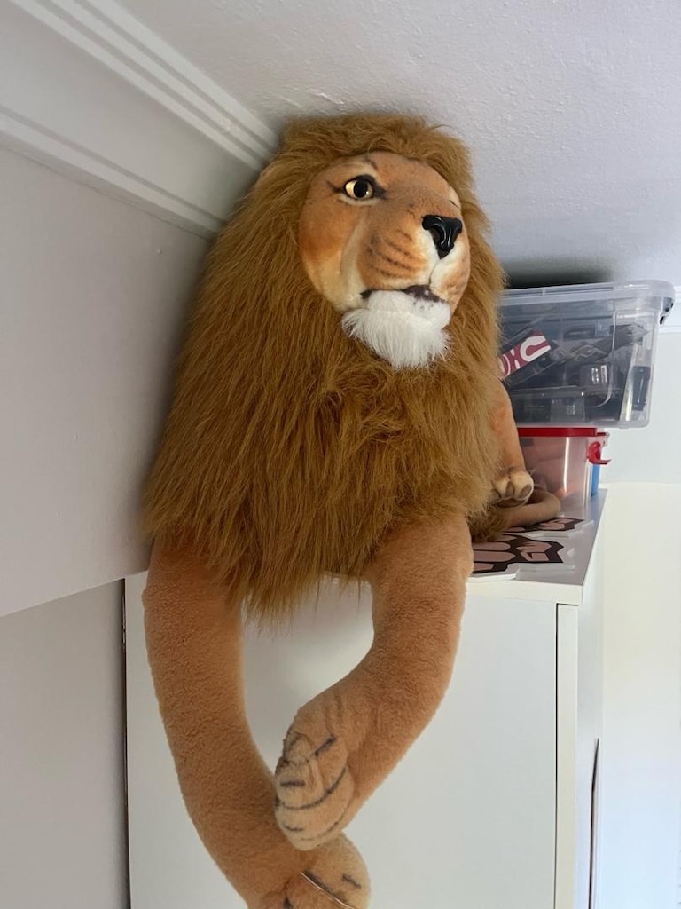 Peluş Aslan - 2