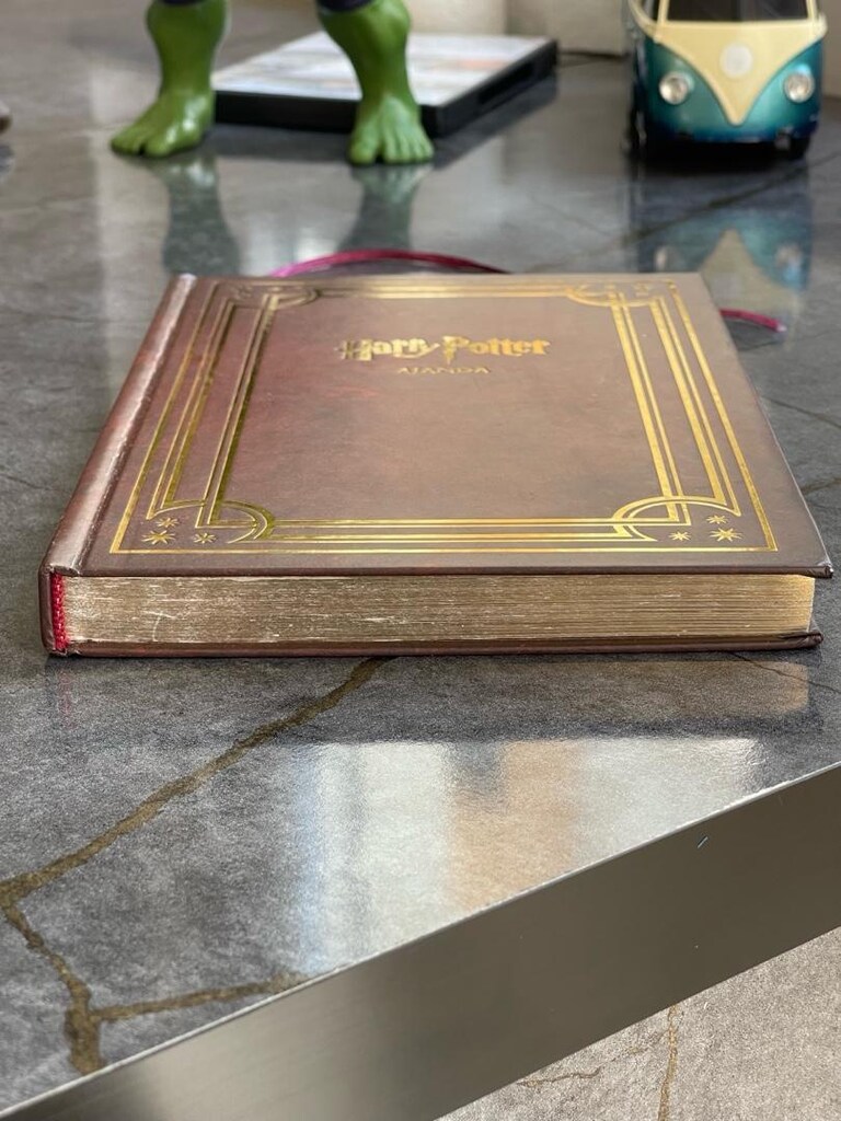 Mösyö Taha - Harry Potter Ajanda 2021 Yılı - 6