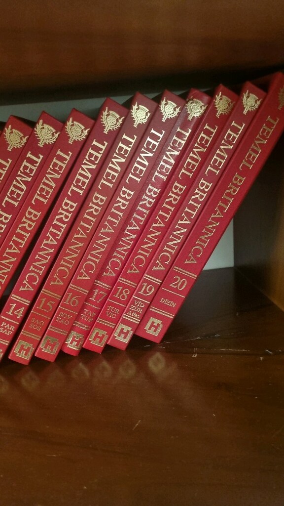 İki Set Ansiklopedi takımı birlikte - 8