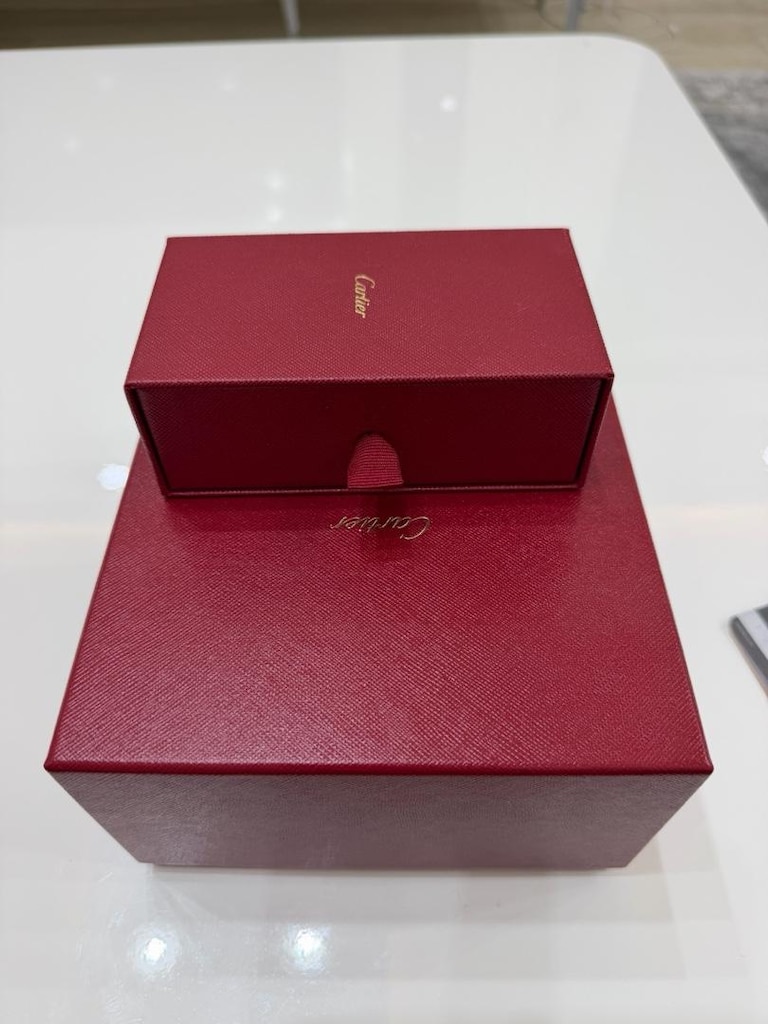 Cartier Santos Large