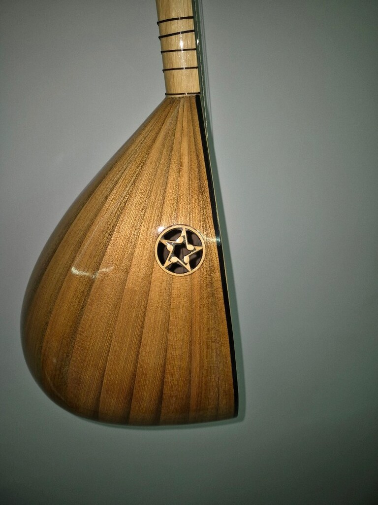 Kısa Sap Saz Bağlama Jack Girişli taşıma çantası kılıfı - 4