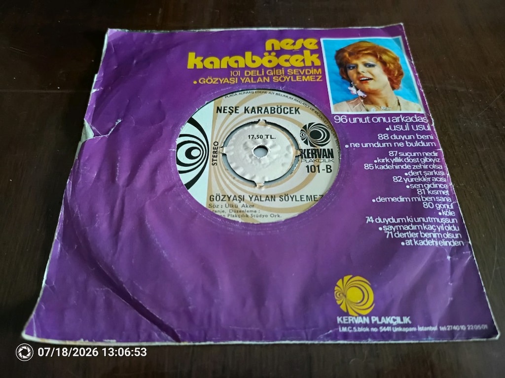 neşe Karaböcek deli gibi sevdim 45 lik plak - 2