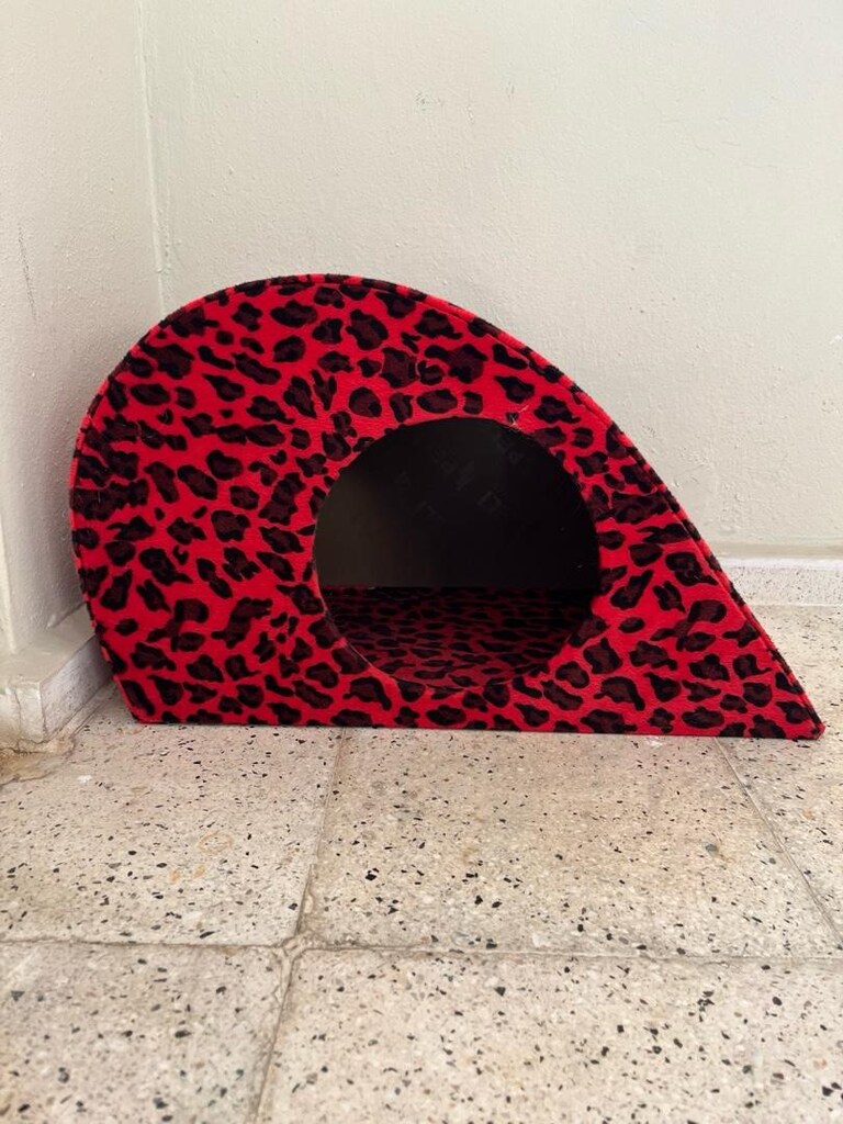 kedi evi - 2