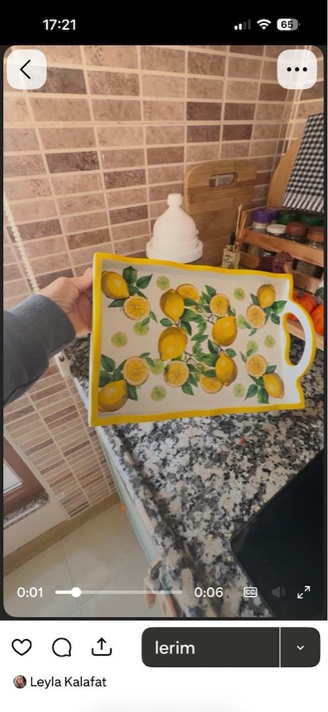 Limon Desenli Tepsi dekopaj - 2
