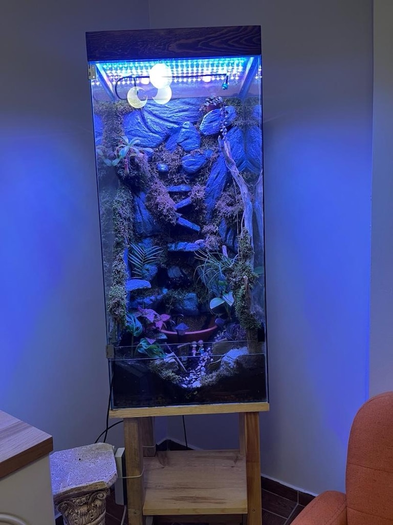 Özel Tasarım Büyük Teraryum – Doğal Orman & LED Aydınlatma - 3