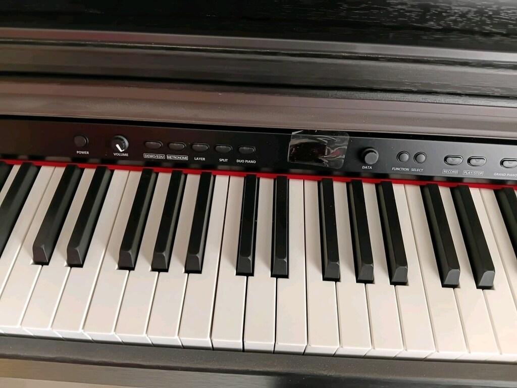 Gül ağacı piyano (Kurzweil ka130sr) - 9