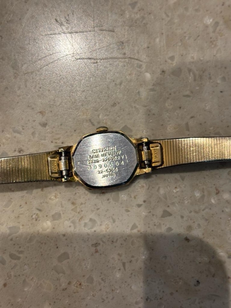 Citizen kadın saat - 3