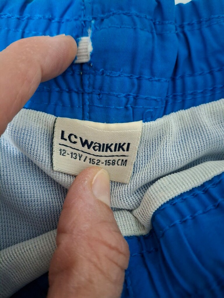 LC Waikiki erkek çocuk deniz şortu - 2