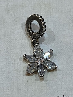 pandora charm