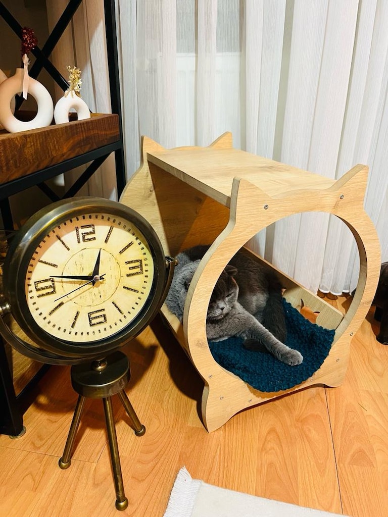kedi tırmalama tahtası - 14