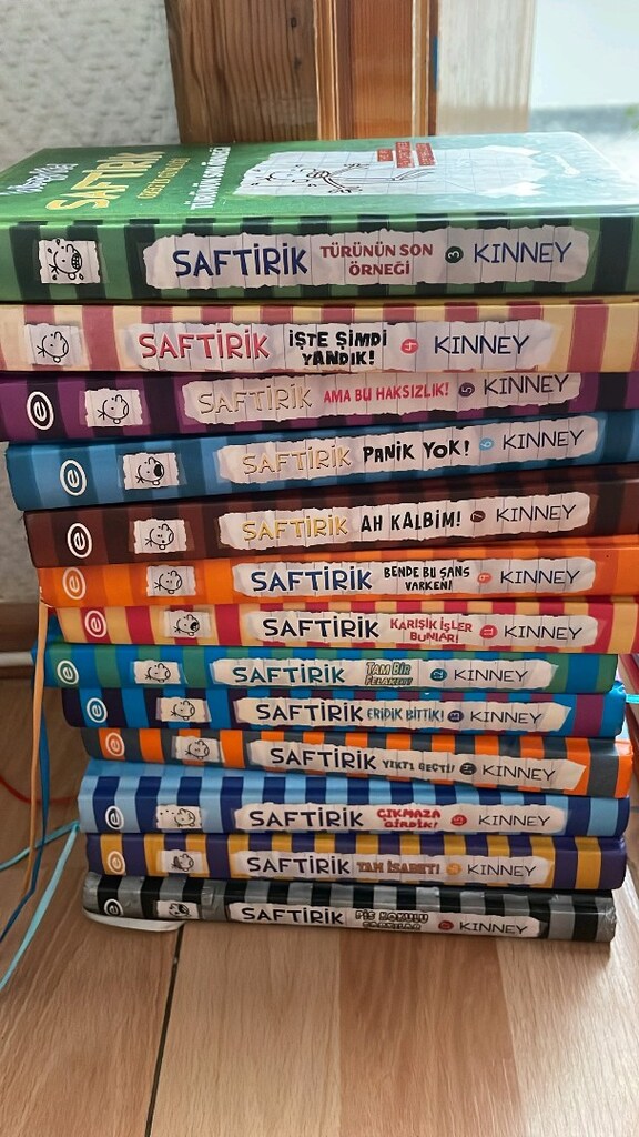 ADET FİYATIDIR saftirik kitap serisi detaylar açıklamada - 4