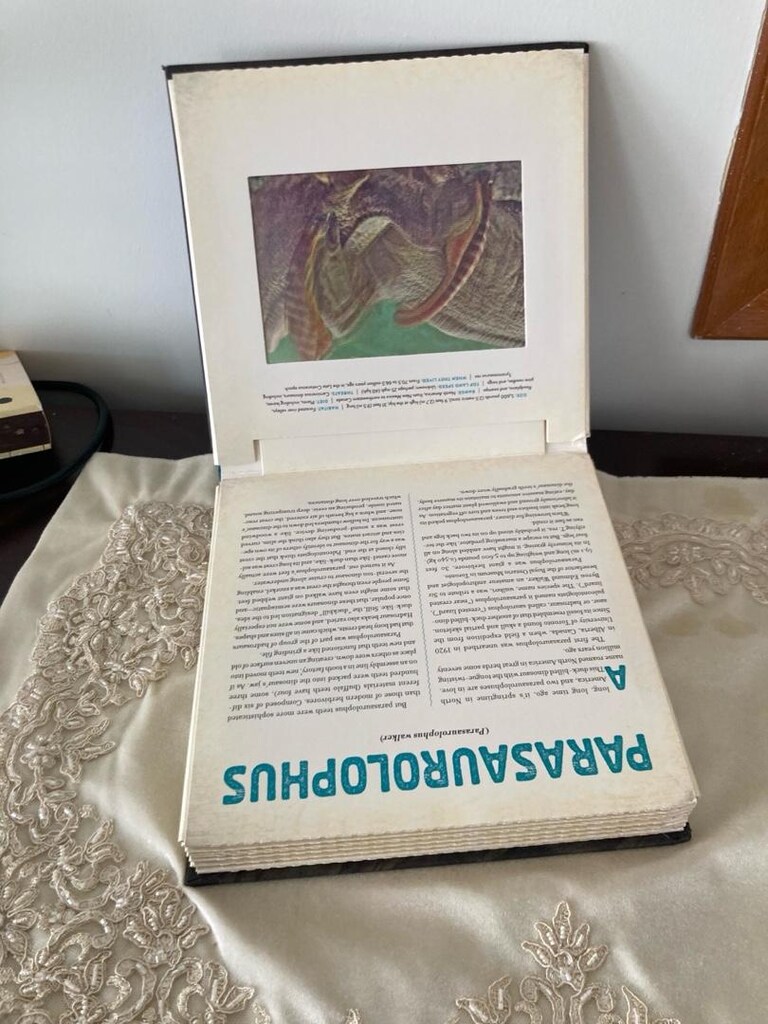 Dinozor resimli İngilizce kitap - 3