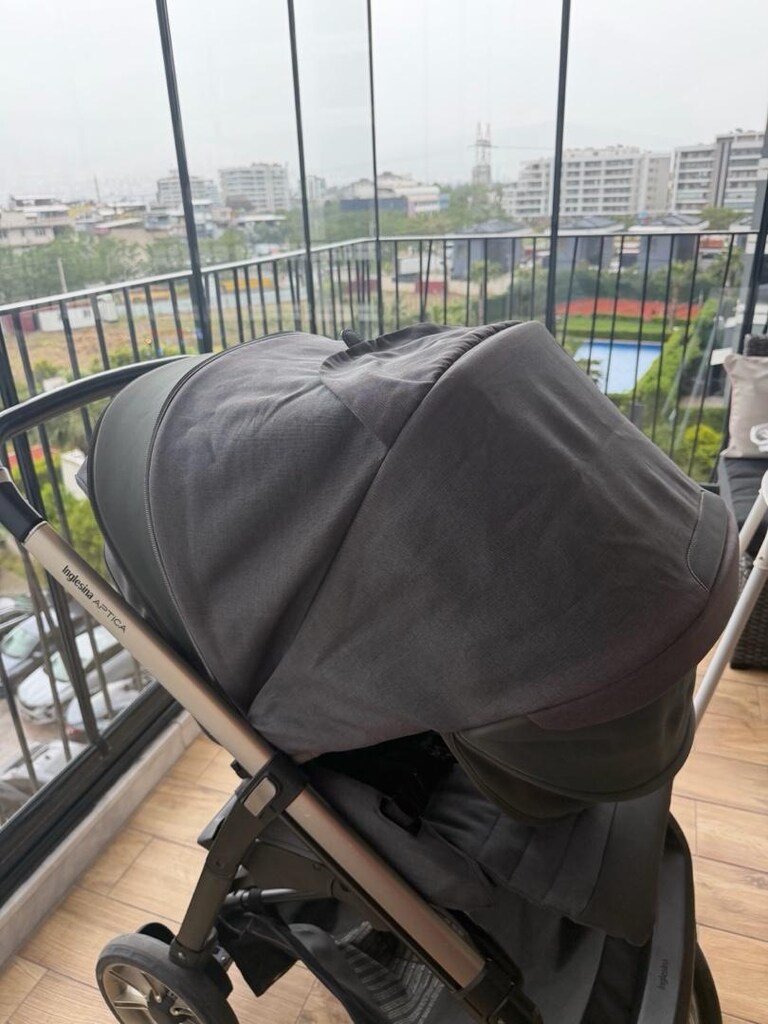 Inglesina Aptica - 4