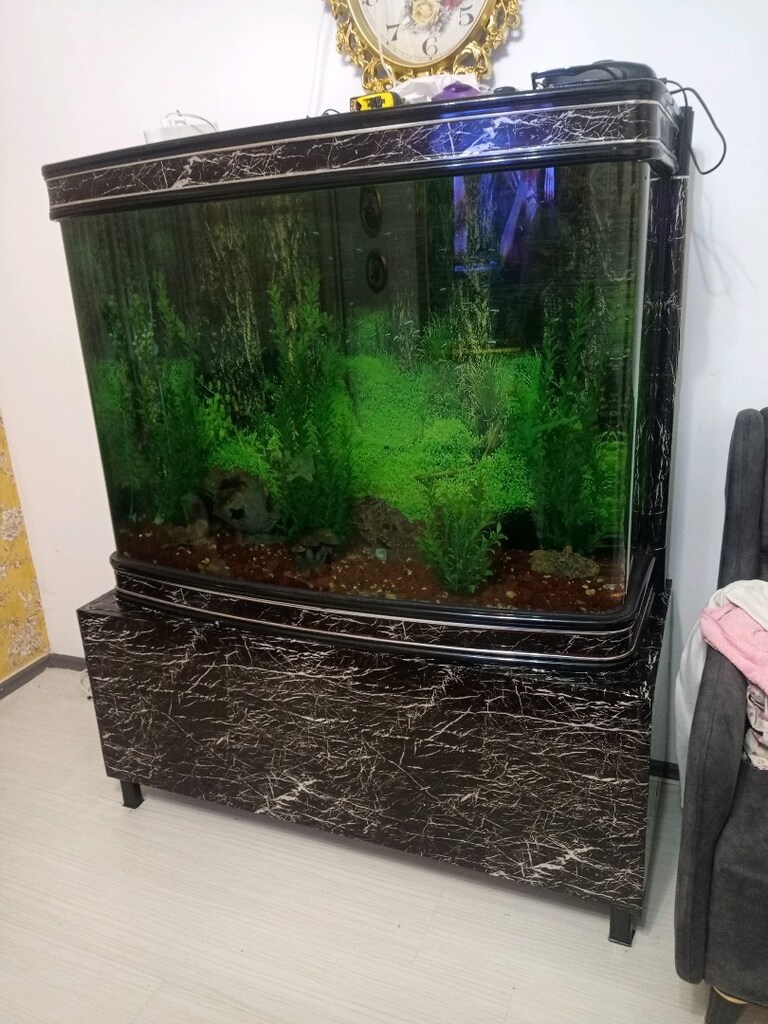 120 e 80 cm ithal akvaryum en güzeli.PAZARLIK YOKTUR - 8