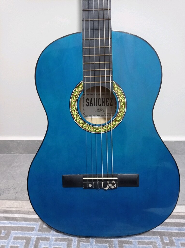SANCHEZ GİTAR - 8