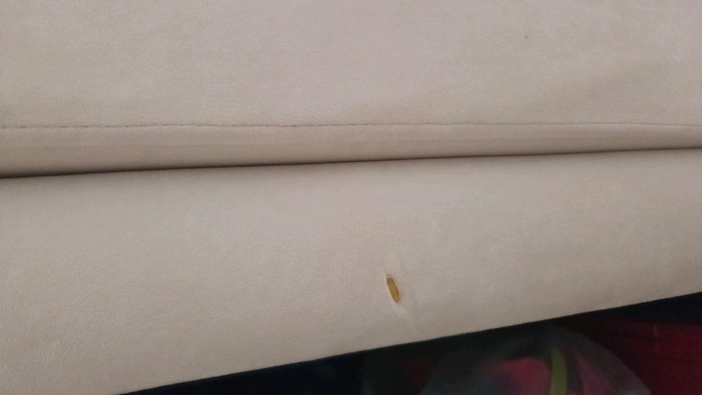 Normod Koltuk Takımı - 4