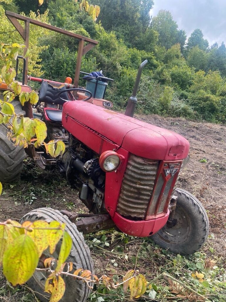 sahibinden satılık traktör 165 lik 1959 model - 4