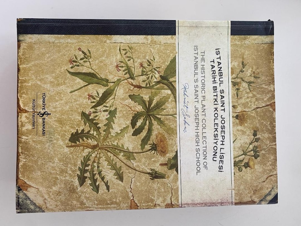 İstanbul Saint Joseph Lisesi Tarihi Bitki Koleksiyonu - 3