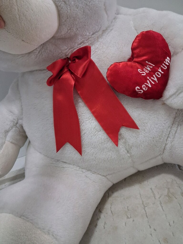 peluş 70 cm ayı - 5