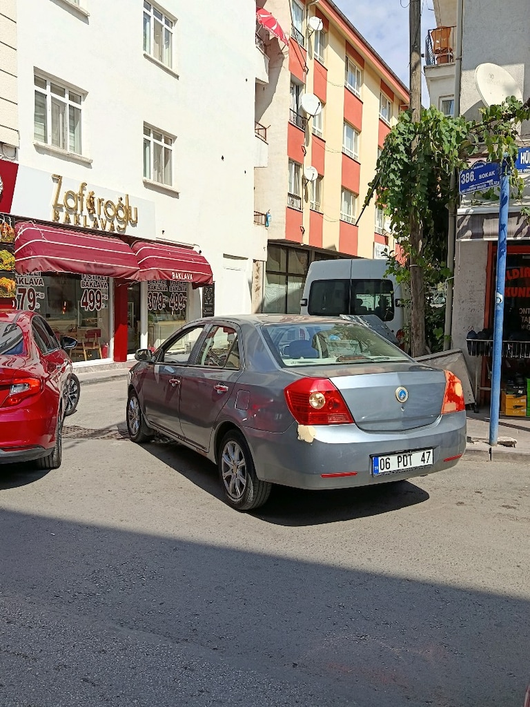 ŞAHİN PARASINA 2009 GEELY - 4
