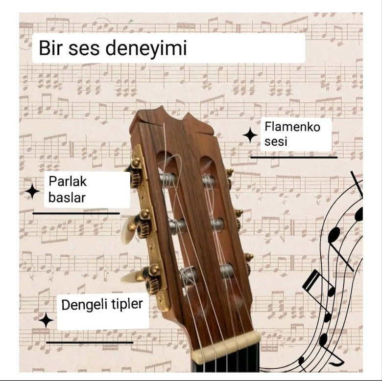 Gitar Teli Seti - kaliteli malzeme amazon yurtdışı ürünü - 5