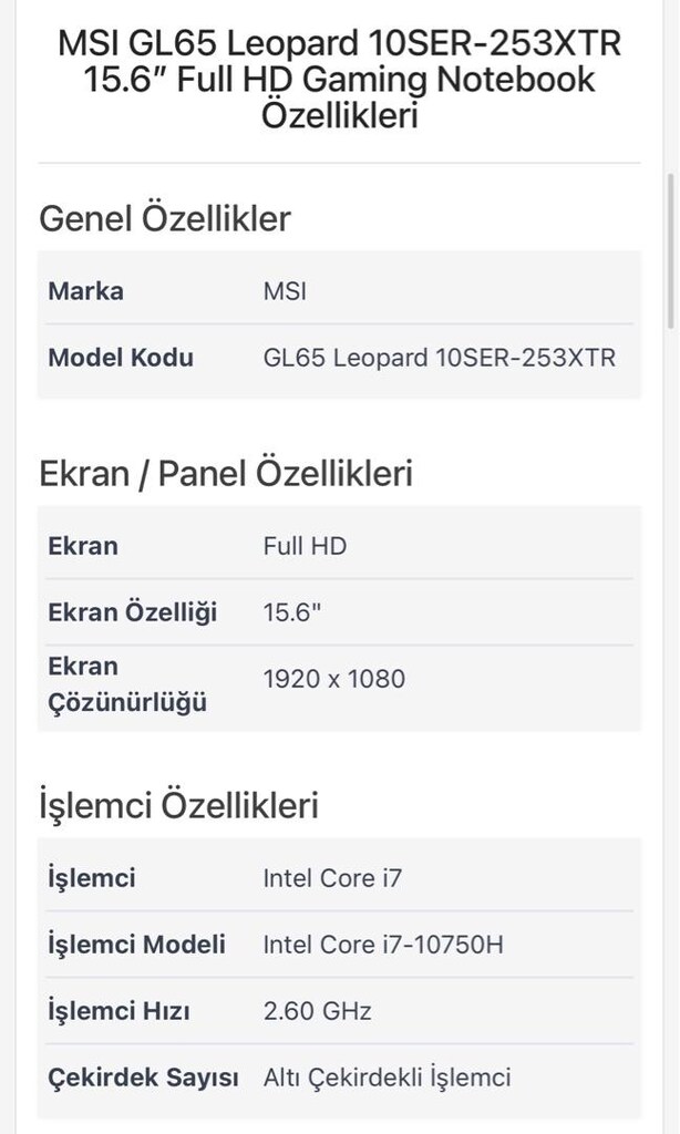 MSI GL65 10SER-253XTR i7-10750H - 144Hz - 16GB - 512GB - Gamer - Win11 - 6