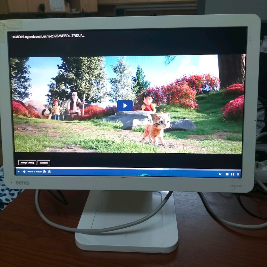 BenQ monitör DVİ ve VGA var Model BenQ Q9W5 .19 inch . - 7