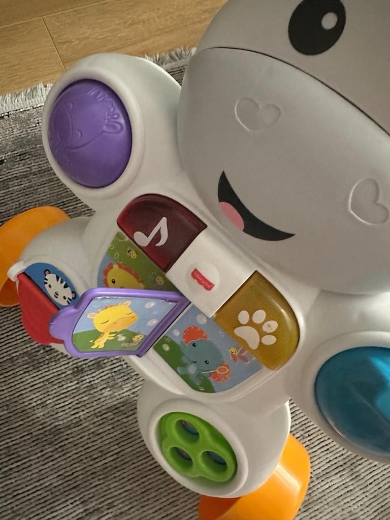 Fisher-Price Yürüme Arkadaşı - 3