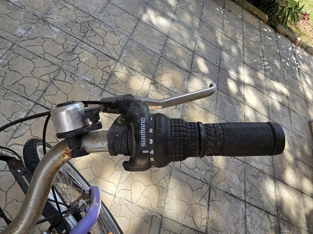 Bianchi Marka Bisiklet - 6