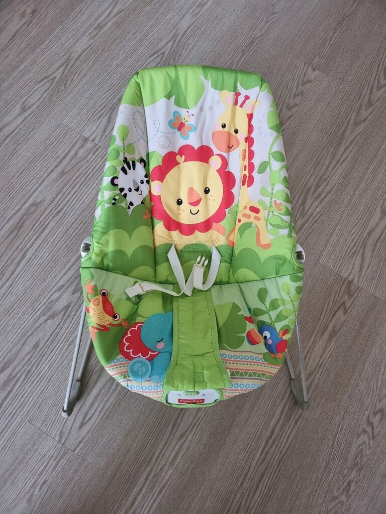 fisher price ana kucagi